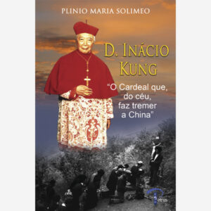 D. Inácio Kung - O Cardeal que, do Céu, faz tremer a China