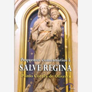 Pequenos comentários a Salve Regina